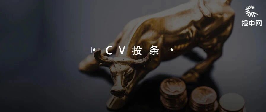 企业级RPA第一股即将诞生：净利复合年增长率近400%，新纽科技领跑万亿新赛道