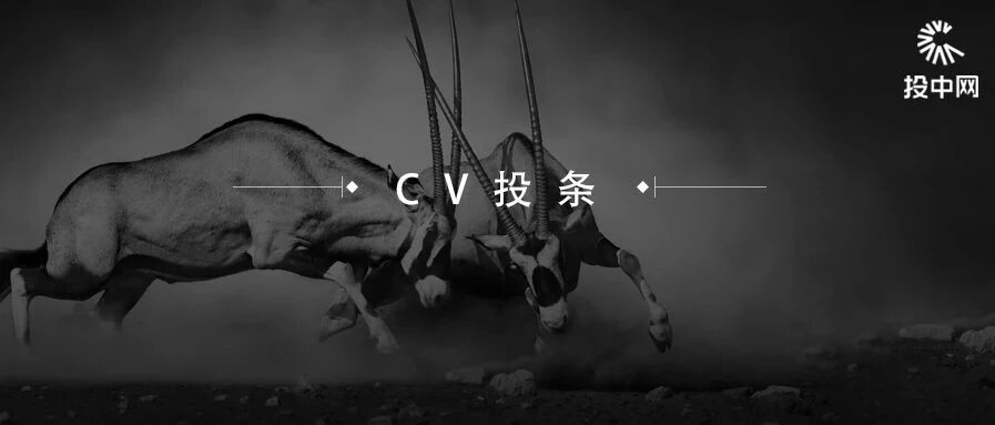 黑石的2020：手握万亿“干火药”却不急出手