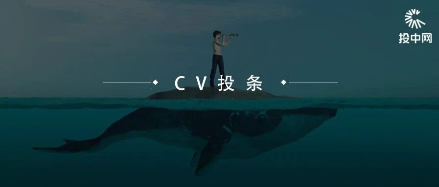 2020，VC/PE围猎巨鲸