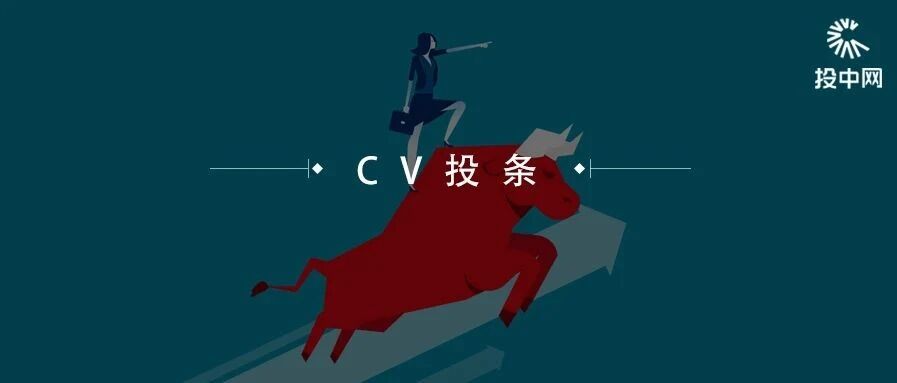 历时17个月，A股首个VIE上市公司来了，又是雷军系