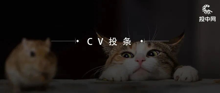 寄养猫咪住一天总统套房“只要598”，投资人：典型伪刚需