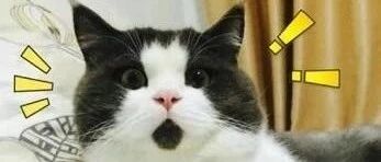 有卡就能撸，云闪付6+16。6+6元毛！