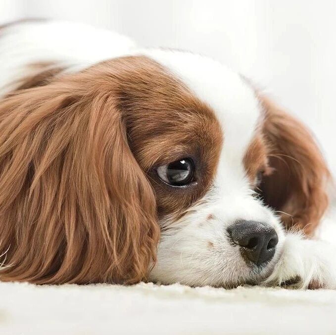 注意！微信支付调整自动续费管理规则