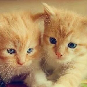 简单粗暴！手把手教你撸建行96元微信立减金！