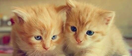 全新七月，超多微信月月刷，简单粗暴上百微信立减金！