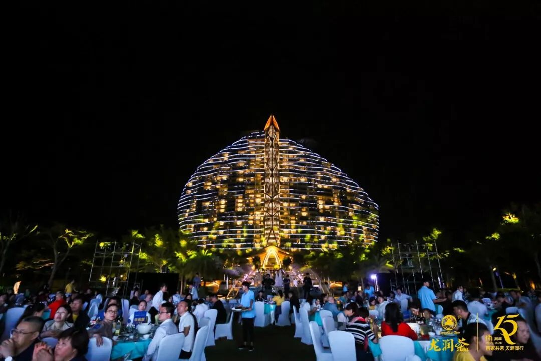 “2019龙润茶匠心十五年品牌与发展峰会”在三亚举行，推动龙润茶大发展​