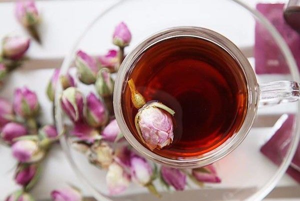 水蟑螂的功效与作用_水鱼的功效与作用_巴黎水的功效和作用