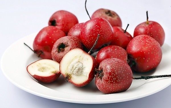 水鱼的功效与作用_水蟑螂的功效与作用_巴黎水的功效和作用