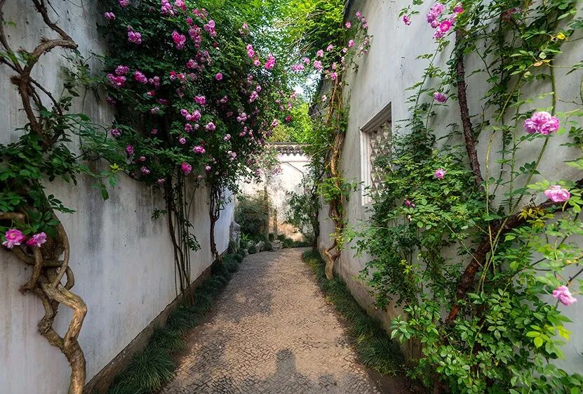 不入苏州园林怎知春色如许