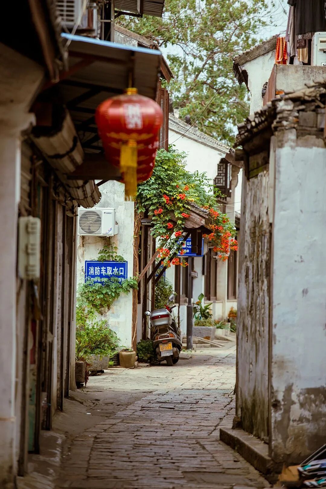 我对江南所有的情结都始于一场烟雨