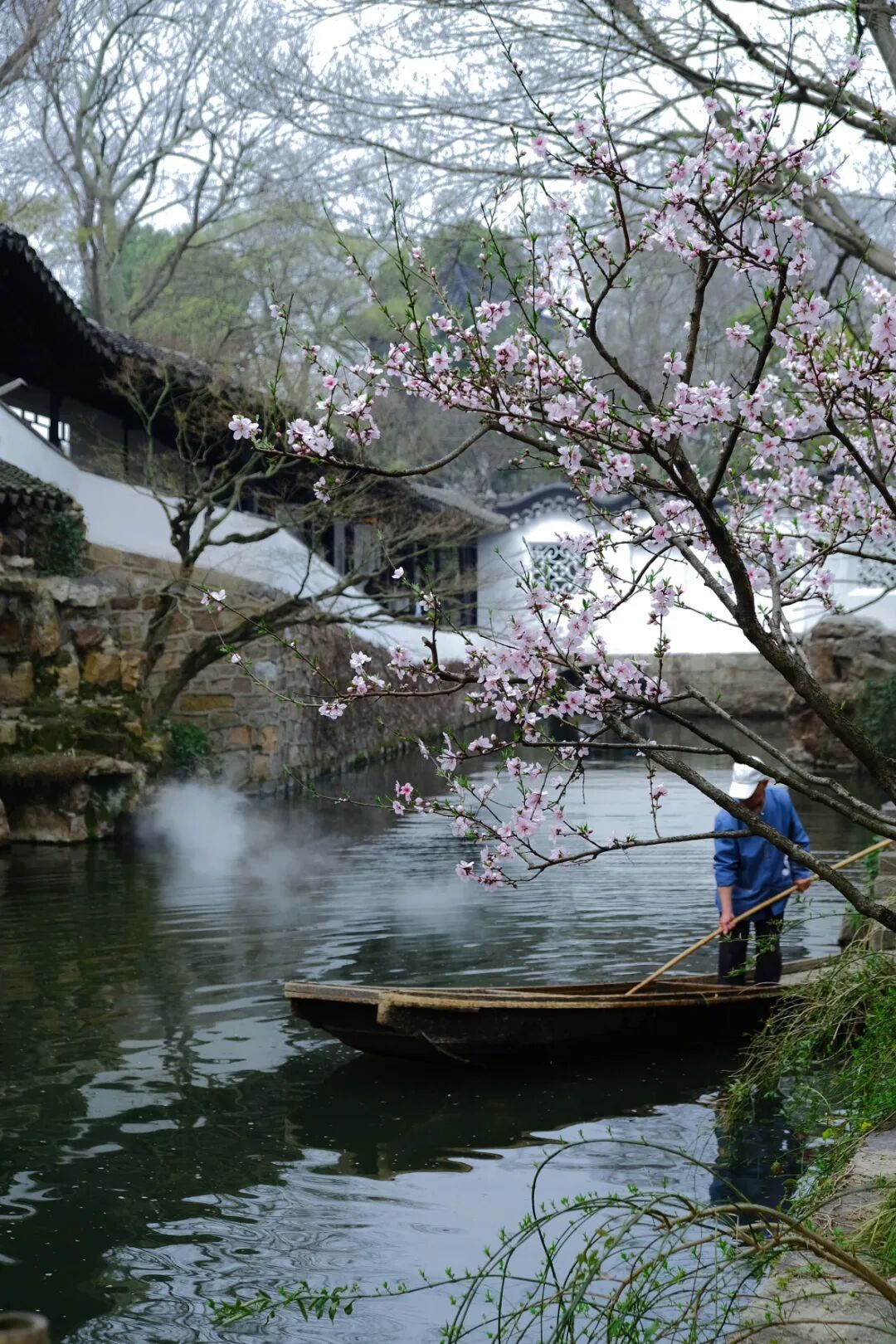 姑苏半数桃花皆姓唐