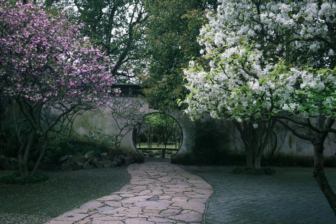 海棠花在苏州园林中是什么地位