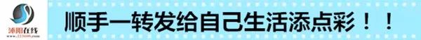 【房产信息】售房  租房(12月12日更新)