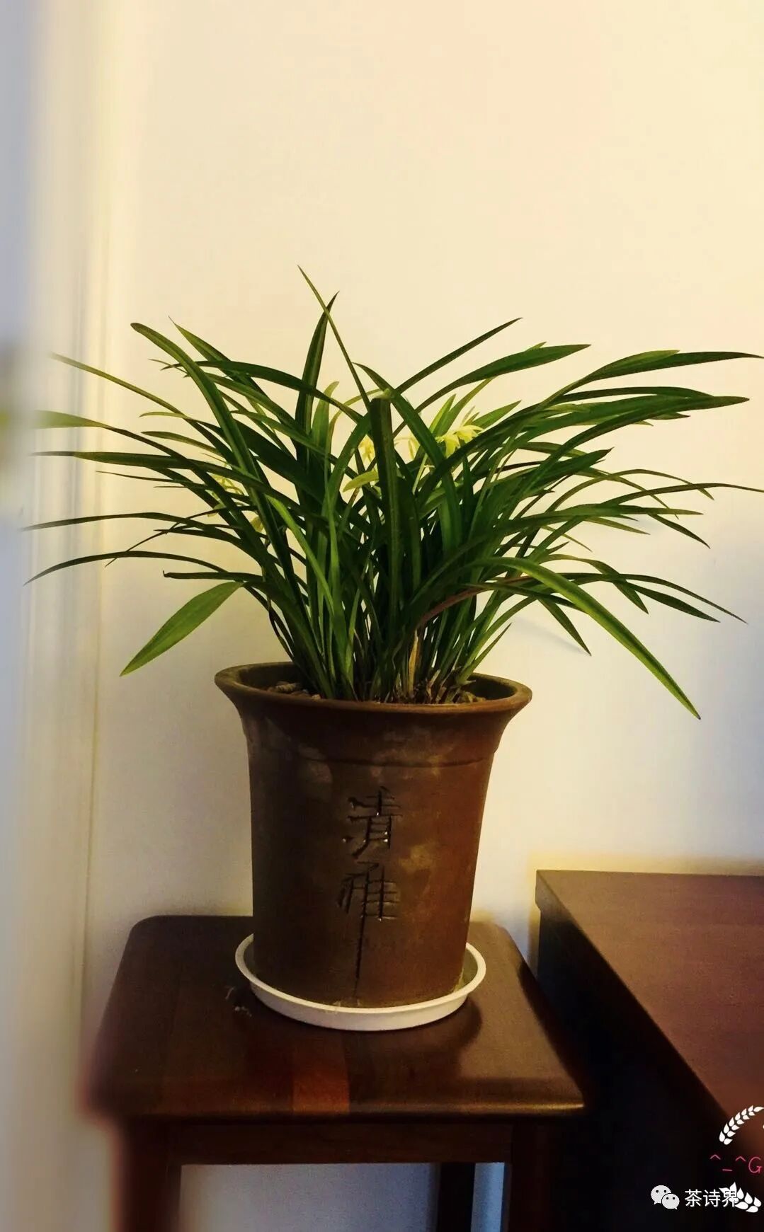 (三)著名编剧,诗人香叶子老师(二)王美芹老师特意带来古琴曲《普庵咒