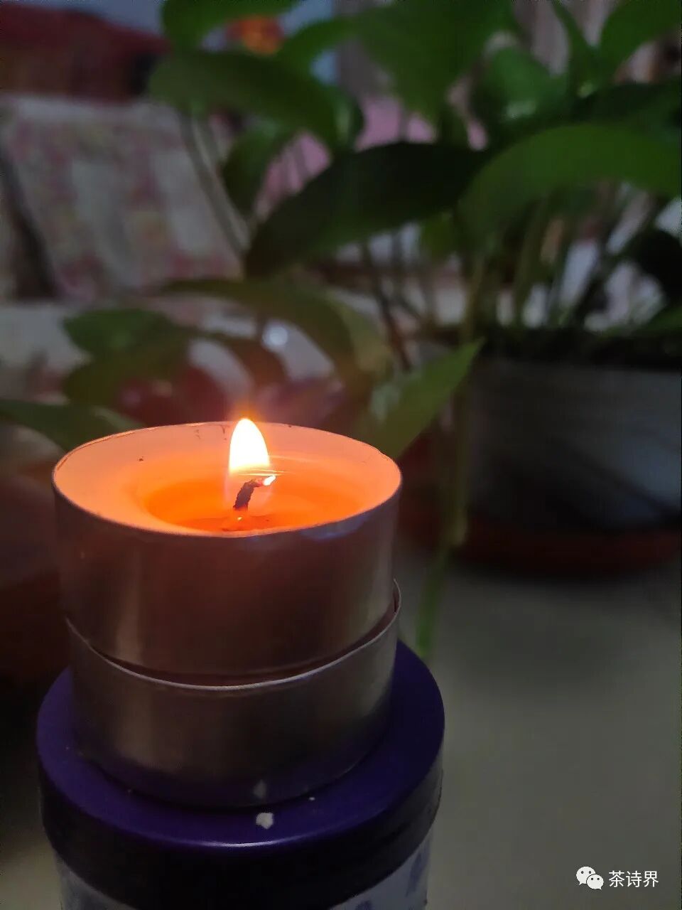 荷老师带来的清雅茶事祝福标题(三)著名编剧,诗人香叶子老师(二)王美