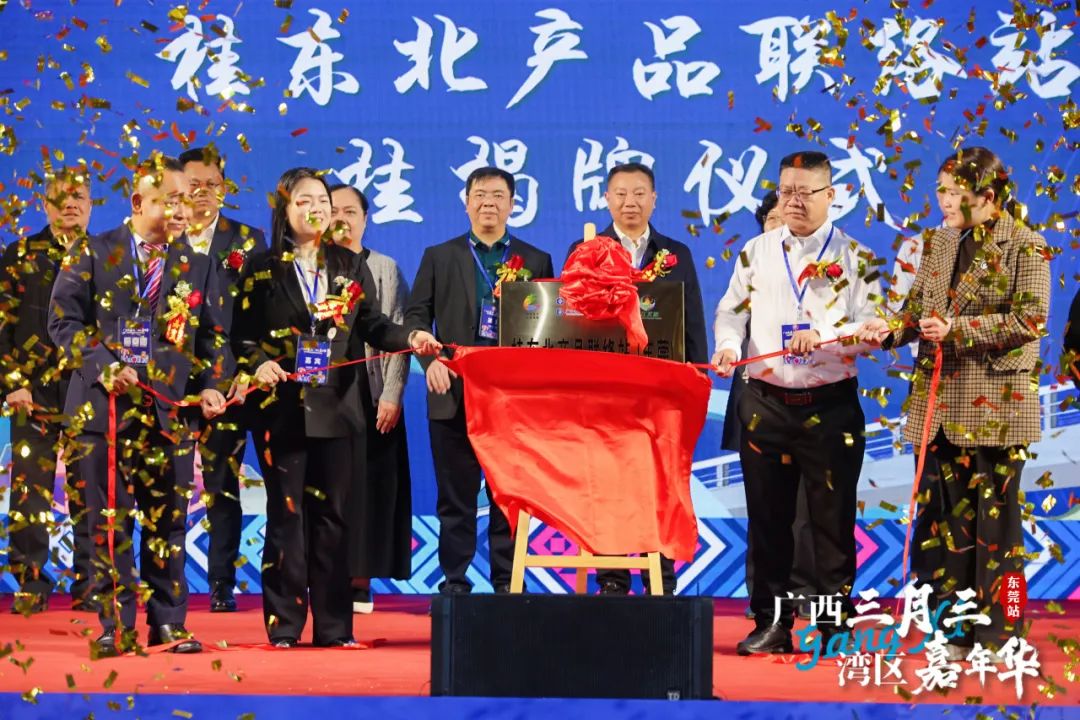 广西三月三·湾区嘉年华暨2025广西旅游年（大湾区）推介活动圆满举行