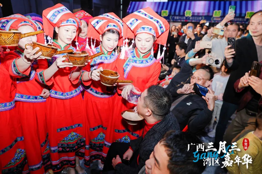 广西三月三·湾区嘉年华暨2025广西旅游年（大湾区）推介活动圆满举行
