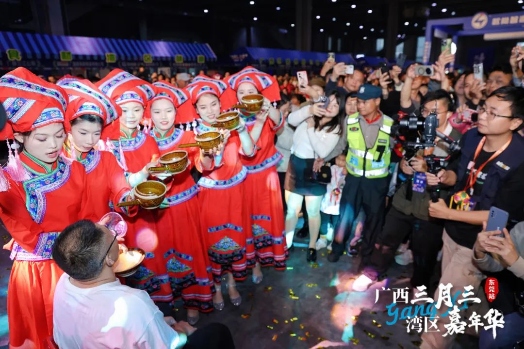 广西三月三·湾区嘉年华暨2025广西旅游年（大湾区）推介活动圆满举行