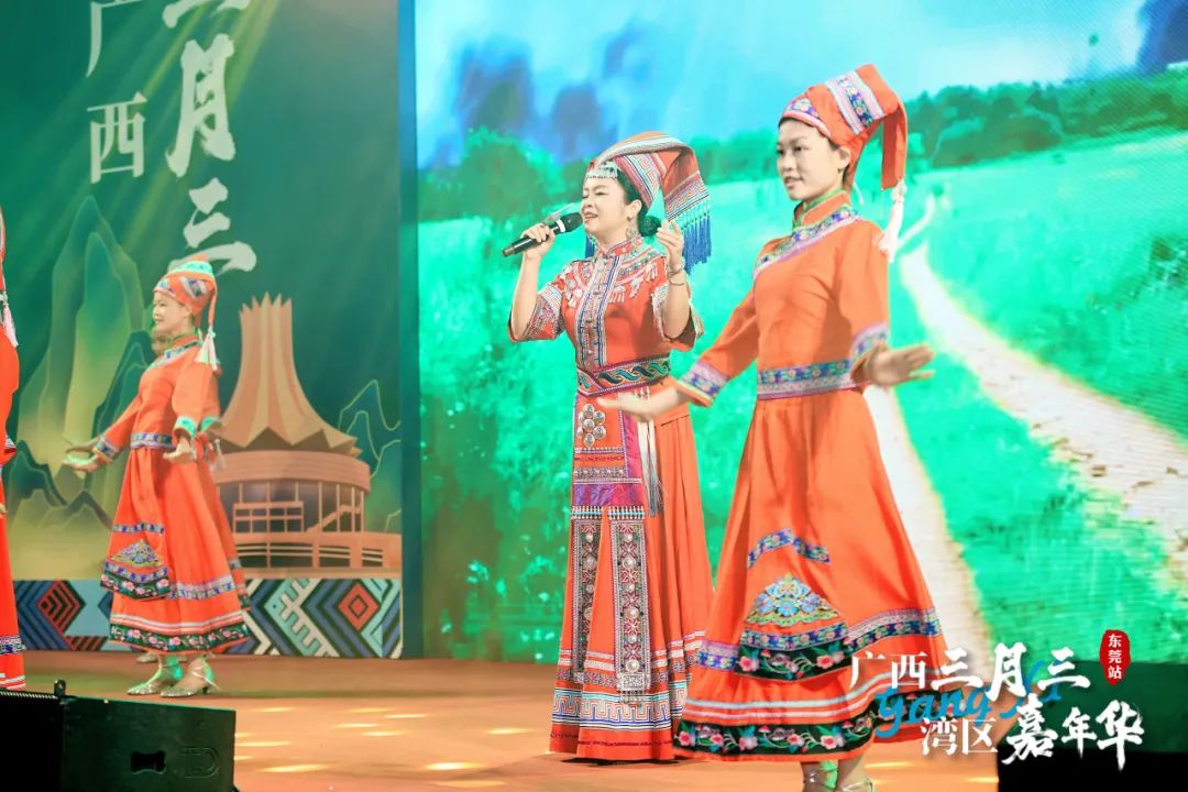 广西三月三·湾区嘉年华暨2025广西旅游年（大湾区）推介活动圆满举行