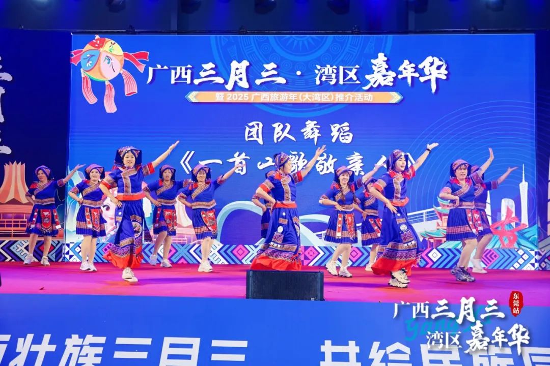 广西三月三·湾区嘉年华暨2025广西旅游年（大湾区）推介活动圆满举行