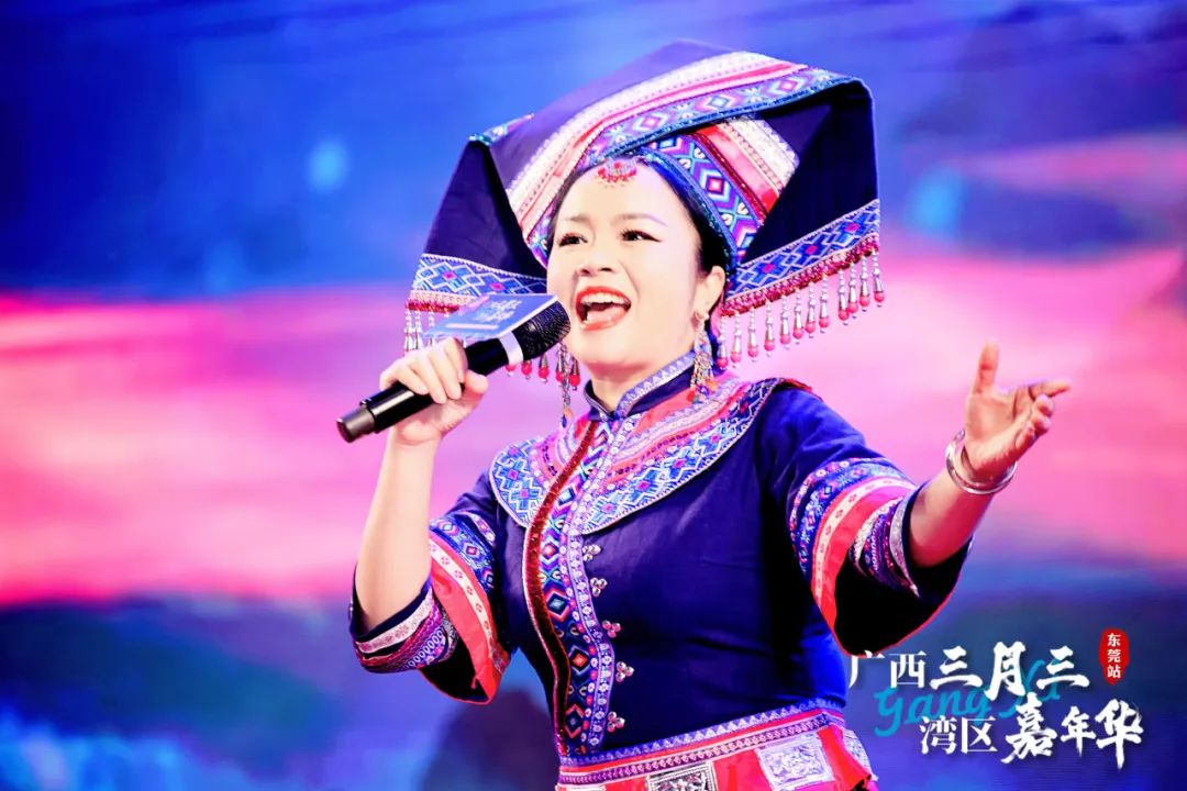 广西三月三·湾区嘉年华暨2025广西旅游年（大湾区）推介活动圆满举行