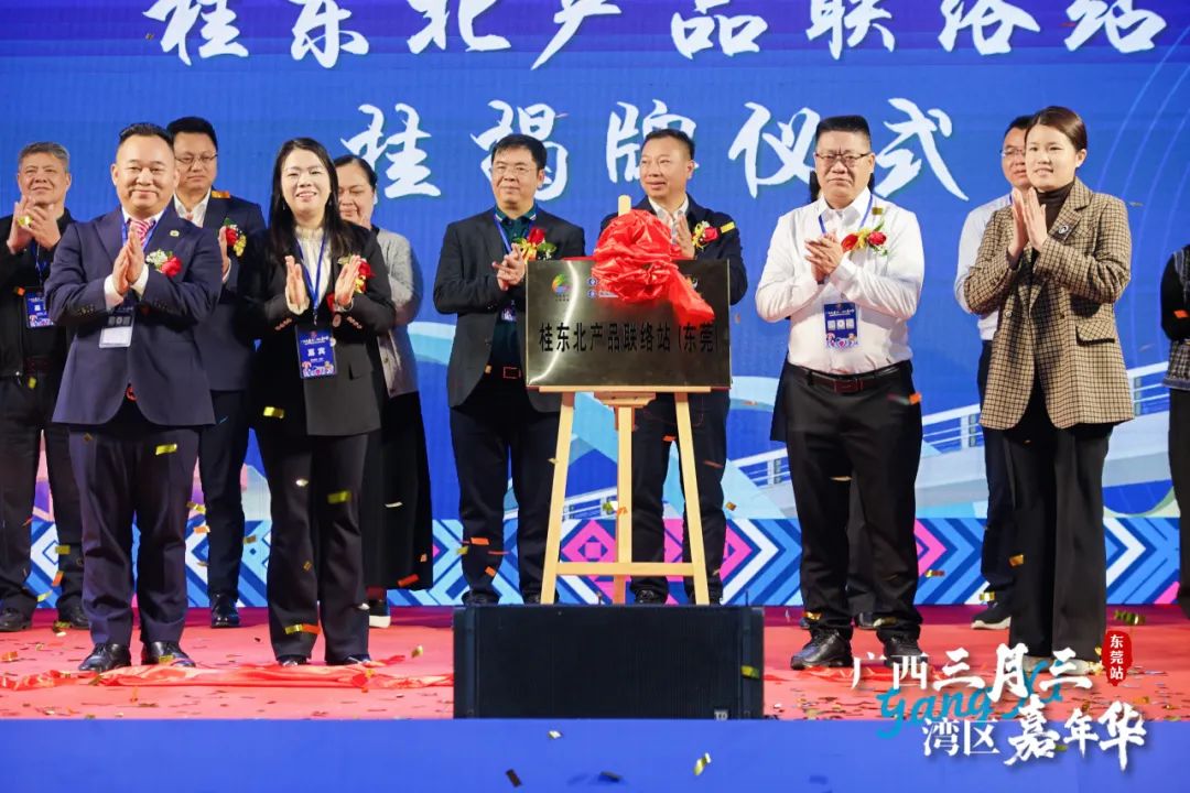 广西三月三·湾区嘉年华暨2025广西旅游年（大湾区）推介活动圆满举行