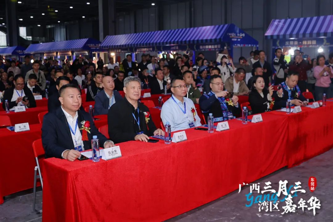 广西三月三·湾区嘉年华暨2025广西旅游年（大湾区）推介活动圆满举行