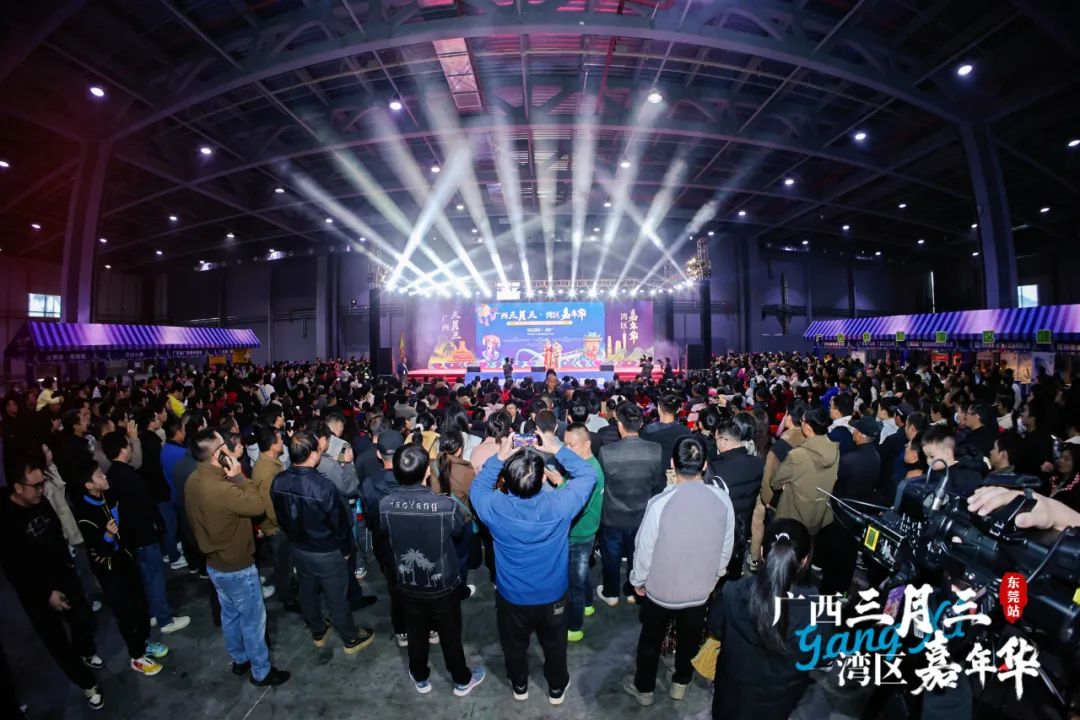 广西三月三·湾区嘉年华暨2025广西旅游年（大湾区）推介活动圆满举行