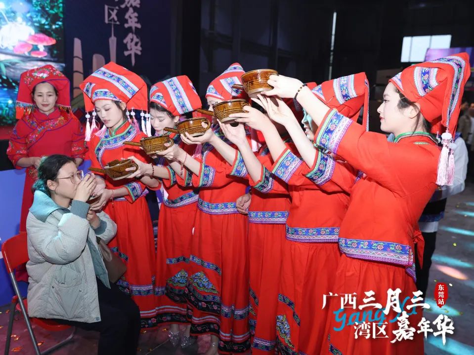 广西三月三·湾区嘉年华暨2025广西旅游年（大湾区）推介活动圆满举行