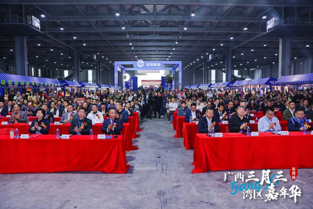 广西三月三·湾区嘉年华暨2025广西旅游年（大湾区）推介活动圆满举行