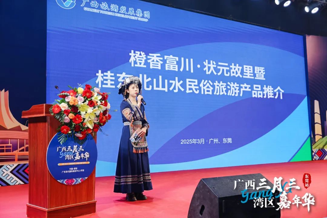 广西三月三·湾区嘉年华暨2025广西旅游年（大湾区）推介活动圆满举行