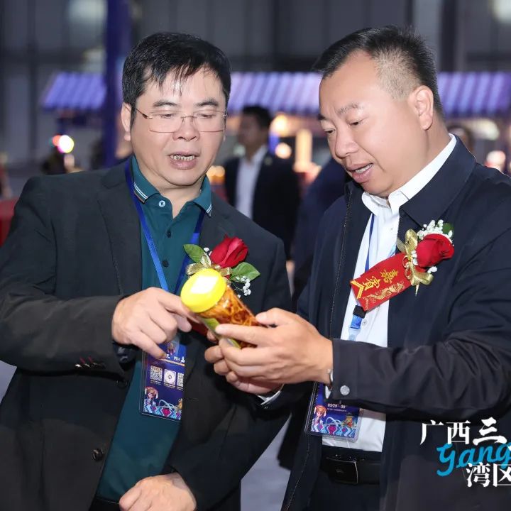 广西三月三·湾区嘉年华暨2025广西旅游年（大湾区）推介活动圆满举行
