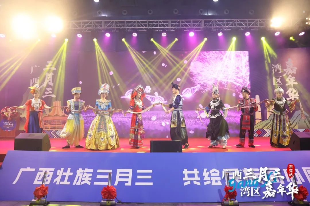 广西三月三·湾区嘉年华暨2025广西旅游年（大湾区）推介活动圆满举行