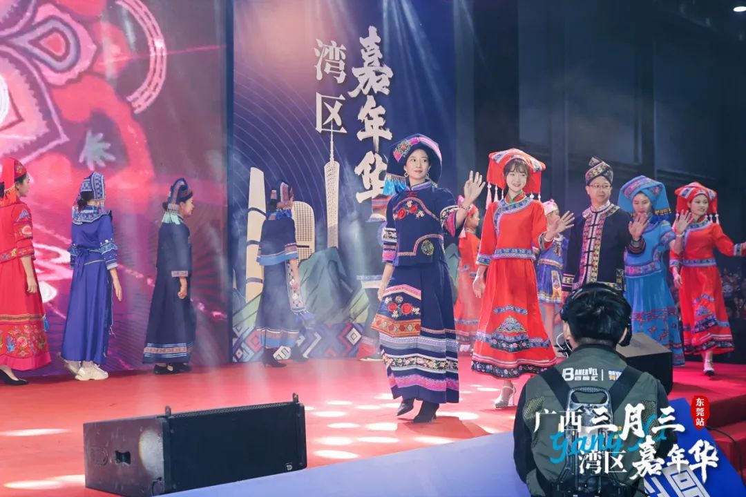广西三月三·湾区嘉年华暨2025广西旅游年（大湾区）推介活动圆满举行