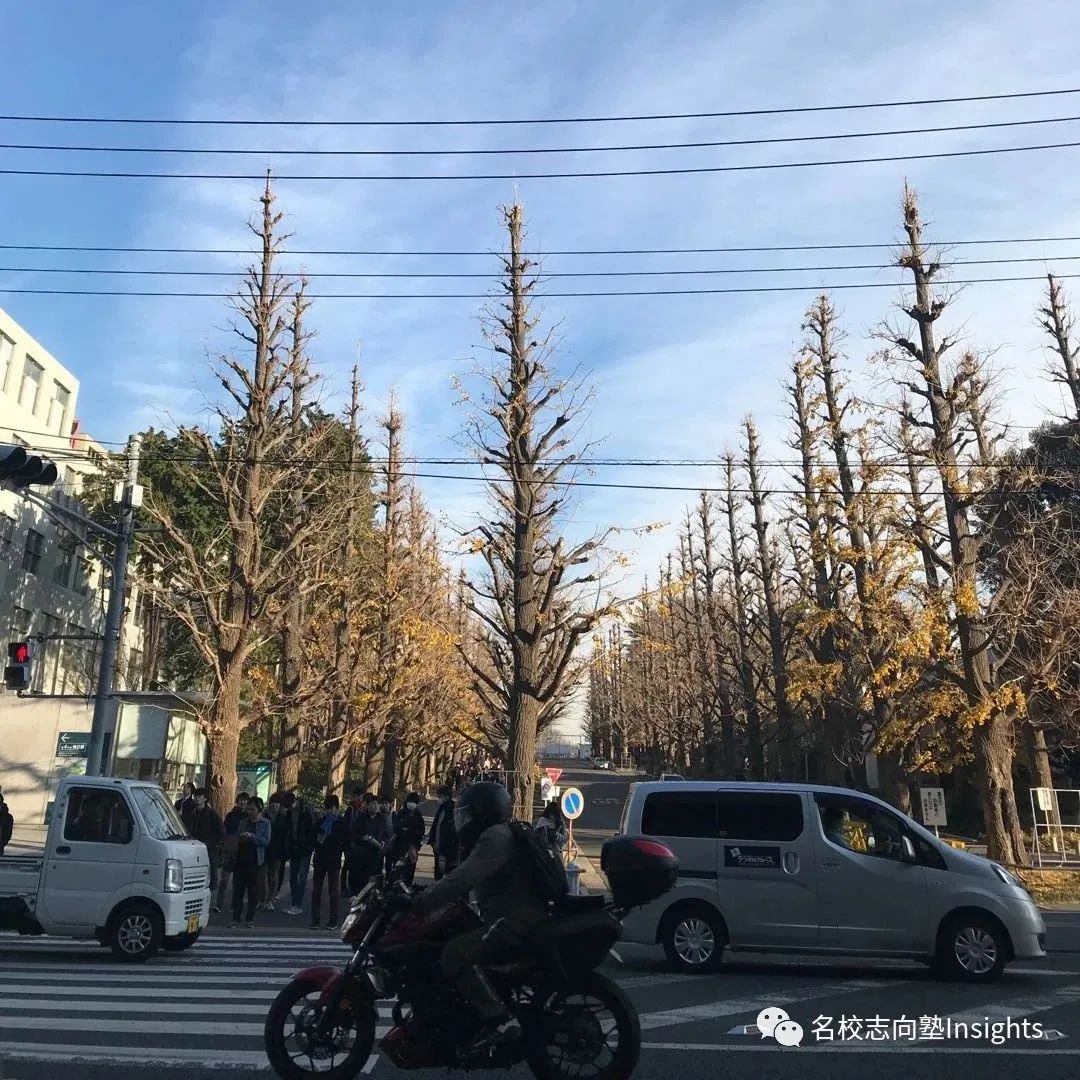 出愿TIPS丨庆应义塾大学学部综合报考指南 出愿TIPS丨庆应义塾大学学部综合报考指南