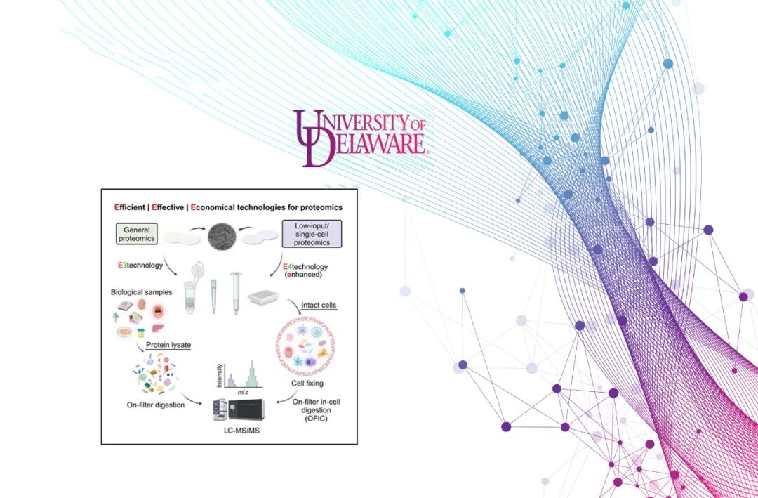 奮楫揚帆 行穩(wěn)致遠——萊伯泰科2024年度發(fā)展紀實