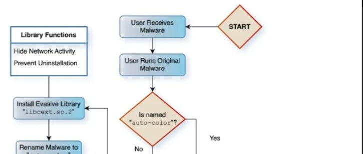 Example Image