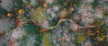 五颜六色： 猫行桥 | 风化岩石海滩 | 破冰