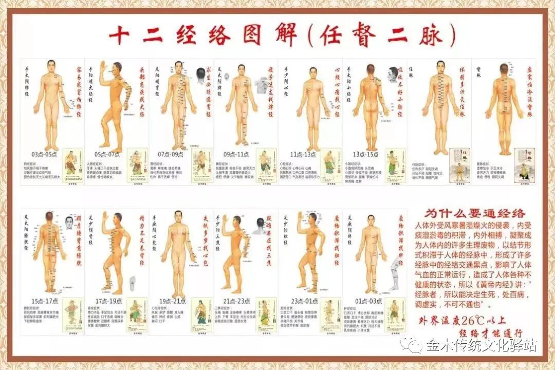 肋骨怎么记忆人体400个穴位记忆法（建议收藏）_https://www.jmylbn.com_新闻资讯_第2张