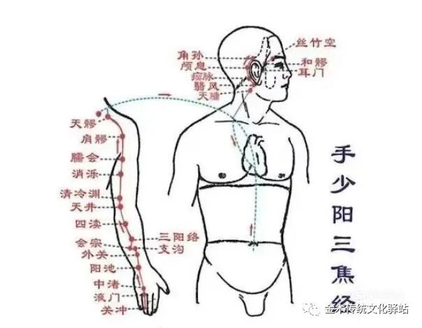 肋骨怎么记忆人体400个穴位记忆法（建议收藏）_https://www.jmylbn.com_新闻资讯_第12张