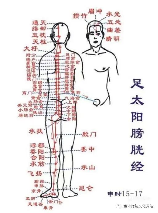 肋骨怎么记忆人体400个穴位记忆法（建议收藏）_https://www.jmylbn.com_新闻资讯_第9张