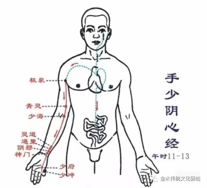 肋骨怎么记忆人体400个穴位记忆法（建议收藏）_https://www.jmylbn.com_新闻资讯_第7张