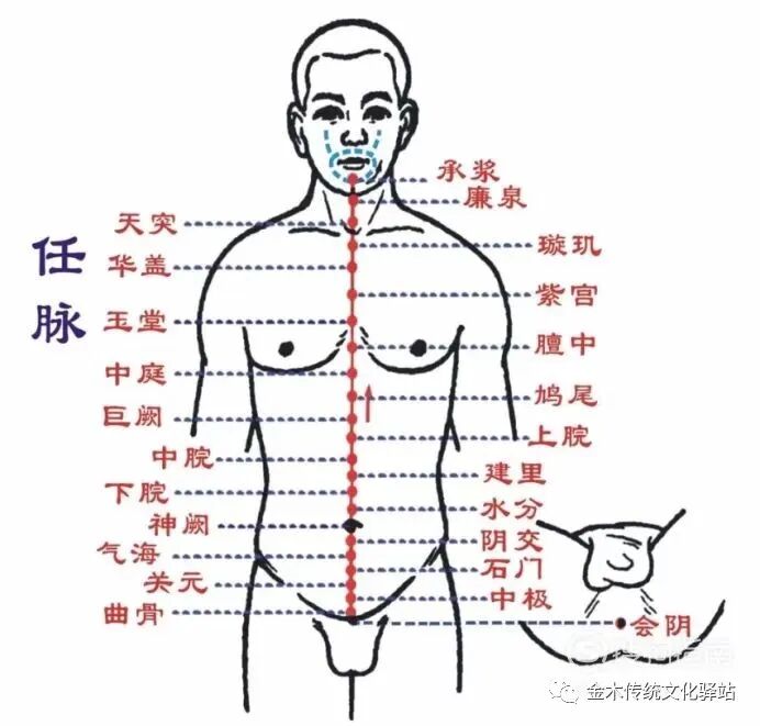 肋骨怎么记忆人体400个穴位记忆法（建议收藏）_https://www.jmylbn.com_新闻资讯_第16张