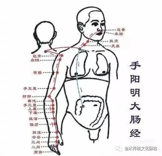 肋骨怎么记忆人体400个穴位记忆法（建议收藏）_https://www.jmylbn.com_新闻资讯_第4张