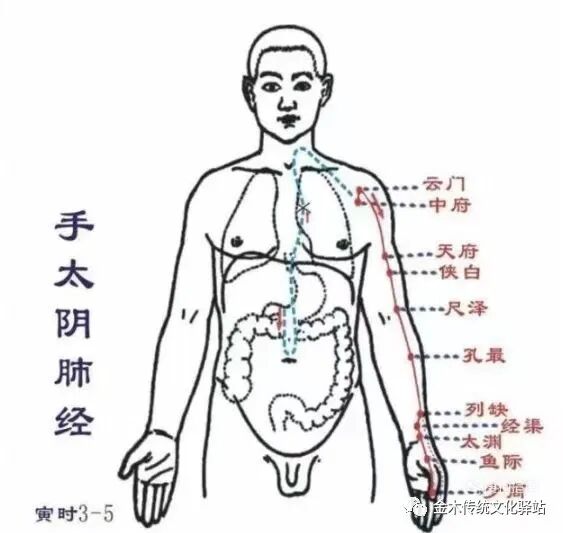 肋骨怎么记忆人体400个穴位记忆法（建议收藏）_https://www.jmylbn.com_新闻资讯_第3张