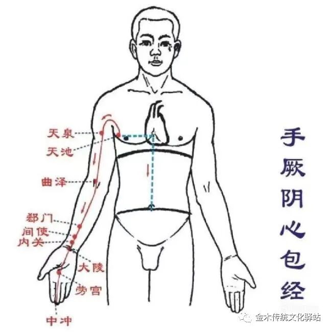 肋骨怎么记忆人体400个穴位记忆法（建议收藏）_https://www.jmylbn.com_新闻资讯_第11张