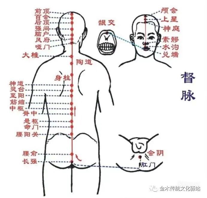 肋骨怎么记忆人体400个穴位记忆法（建议收藏）_https://www.jmylbn.com_新闻资讯_第15张