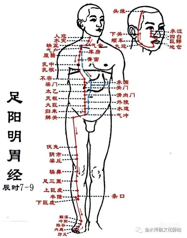 肋骨怎么记忆人体400个穴位记忆法（建议收藏）_https://www.jmylbn.com_新闻资讯_第5张