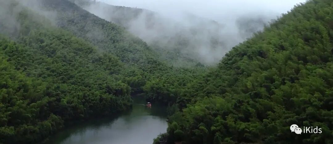 江浙沪温泉酒店的头牌该换了 隐于21万平竹林 坐小电梯上山顶 户户私汤望竹海 Ikids 微信公众号文章阅读 Wemp