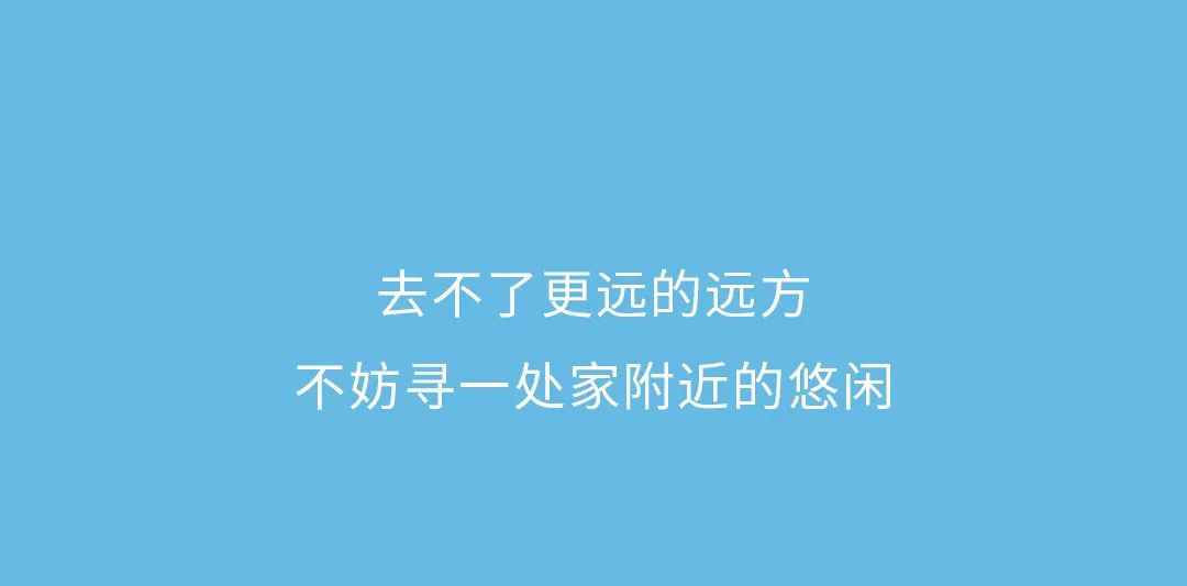 安奈儿：齐乐无穷 沉浸式宅家，多能造？